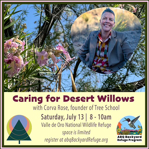 Caring for Desert Willows class at Valle de Oro NWR visitor center - Learn to care for Desert Willows with our partner Corva Rose, founder of Tree School. In this hands-on class, you'll learn about pruning, training, and tending this exquisite climate-ready tree. Space is limited. Register at abqBackyardRefuge.org