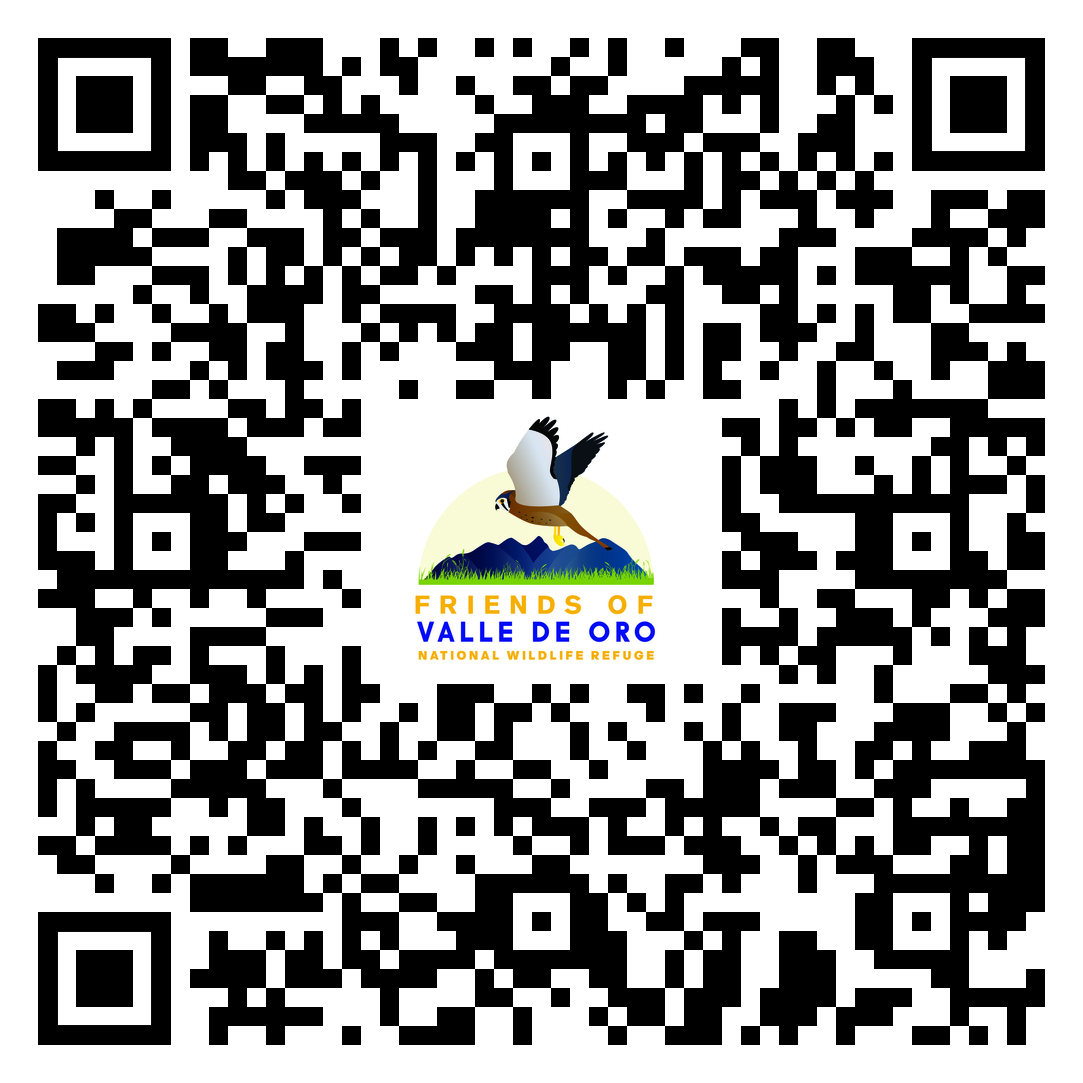 FVO_DonationQR.png