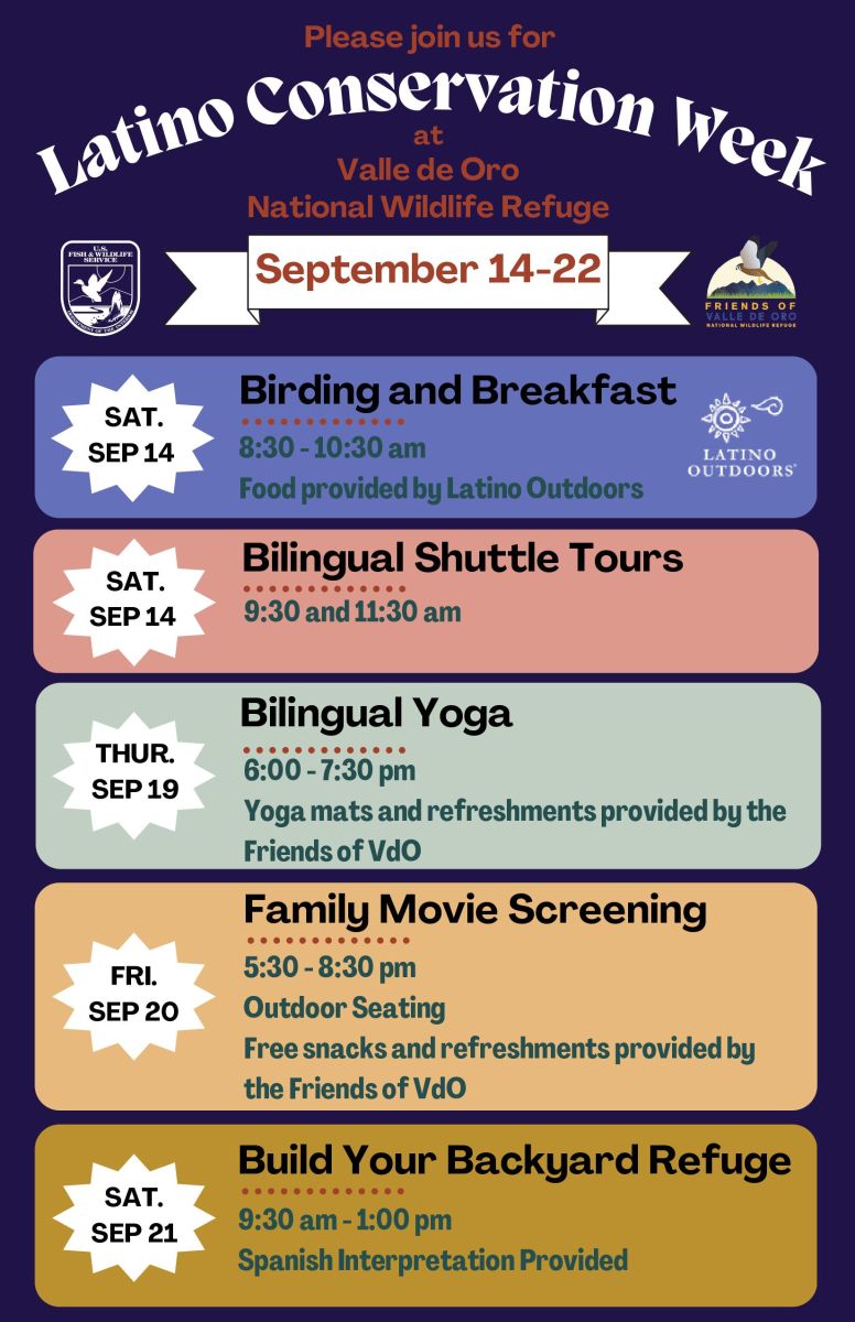 LCW%20flyer%20of%20activities-images-0.jpg