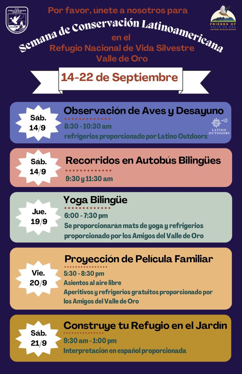 LCW%20flyer%20of%20activities-images-1.jpg
